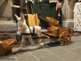 /album/esposizioni-e-mercatini/dscf0159-jpg/